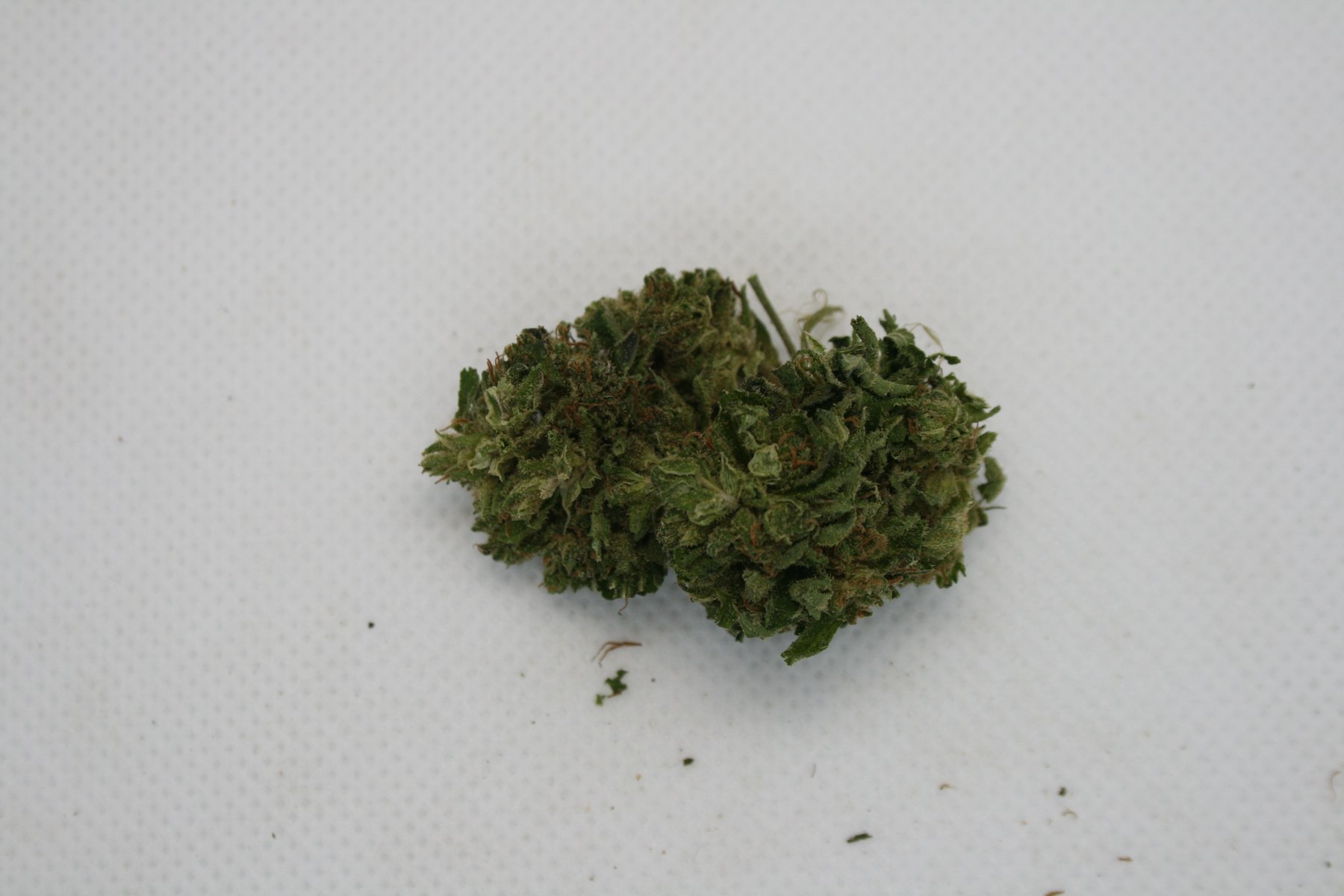 Green House